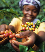 Fair Trade Food